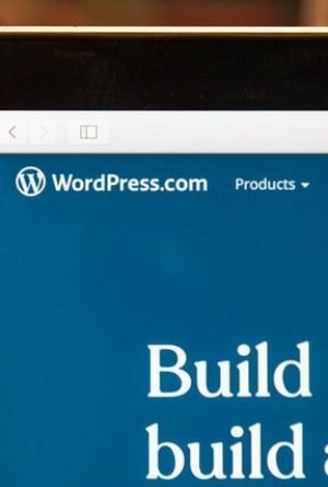 Todo de WordPress Premium